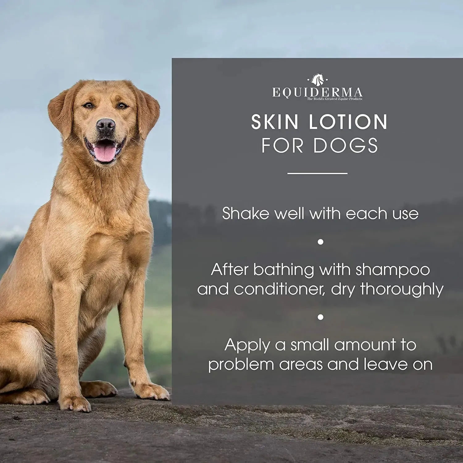 Equiderma Barn Dog Skin Lotion Topical Solution for Dogs 16 oz.