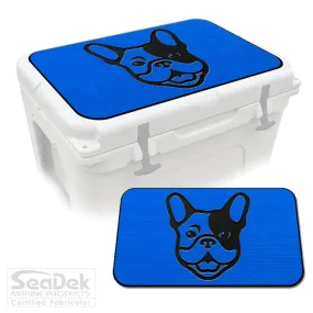 French Bulldog - BB/B