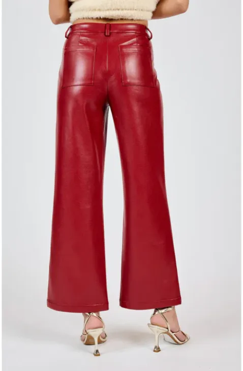 Night Vision Faux Leather Pants (Red)