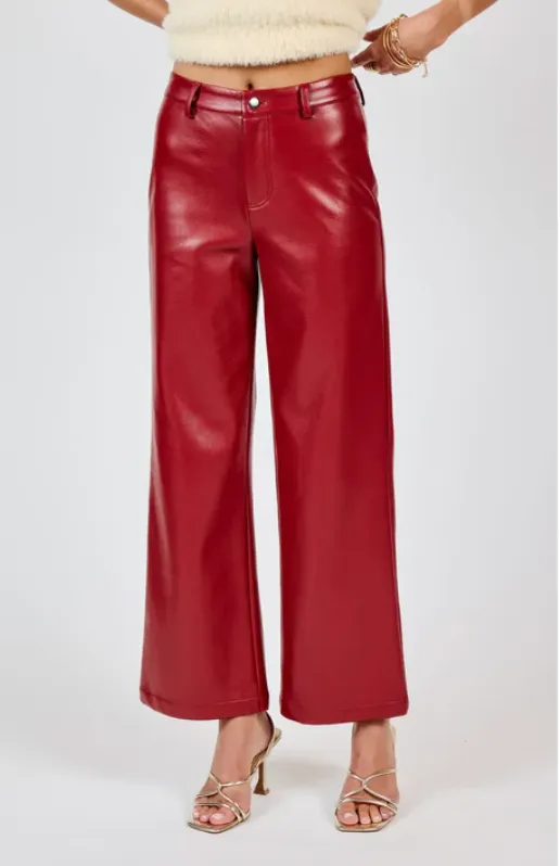 Night Vision Faux Leather Pants (Red)