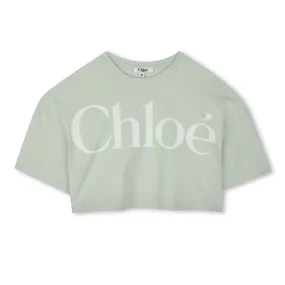 Pale Green Cropped T-Shirt
