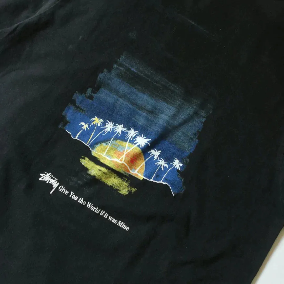 STUSSY HORIZON TEE  (L)