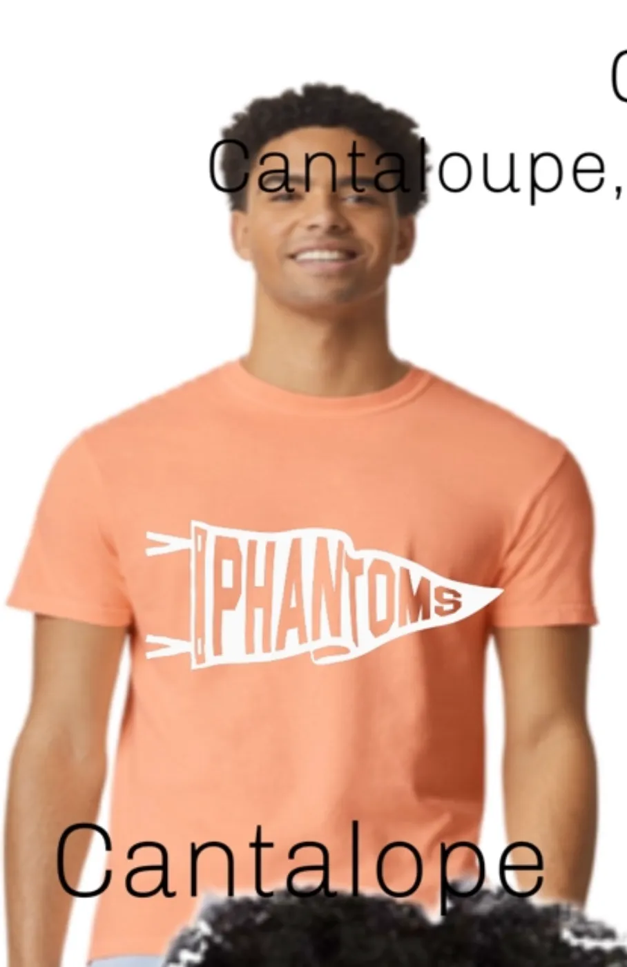 WDP Comfort Colors Adult Pennant Tee