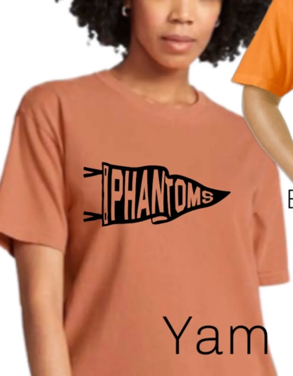 WDP Comfort Colors Adult Pennant Tee