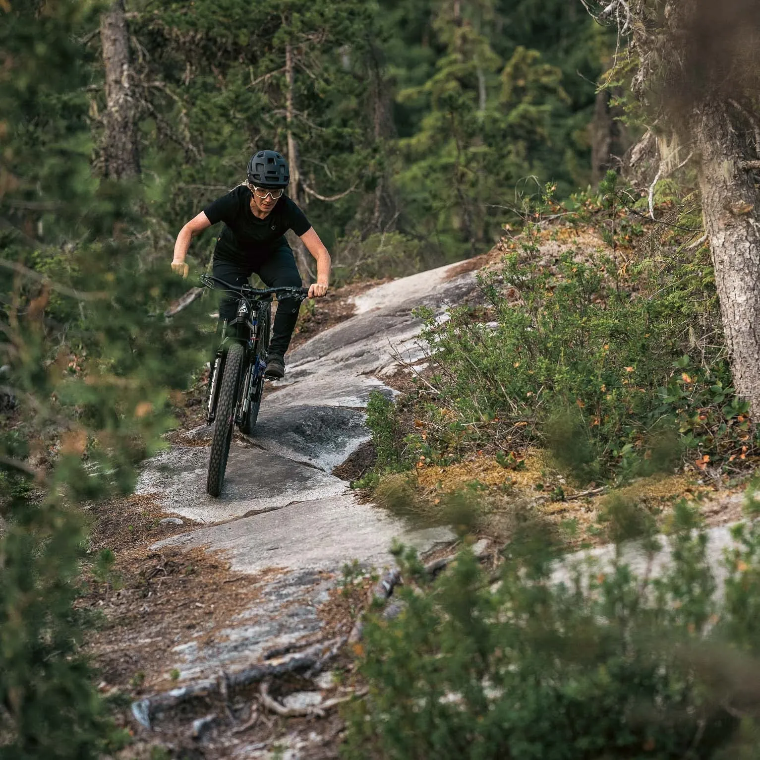 Women's TRAIL Access Pant